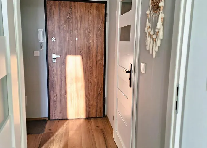 Zloty Trojkat Z Garazem Podziemnym Internet Swiatlowodowy 1000 Mbs Telewizja Kablowa 205 Programow